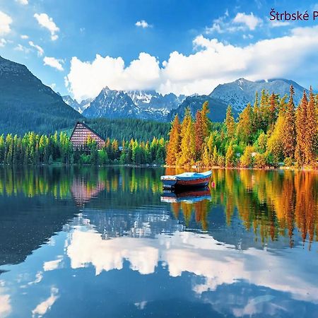 Tatrystay Cactus Premium Villa High Tatras Private Wellness Stará Lesná Buitenkant foto